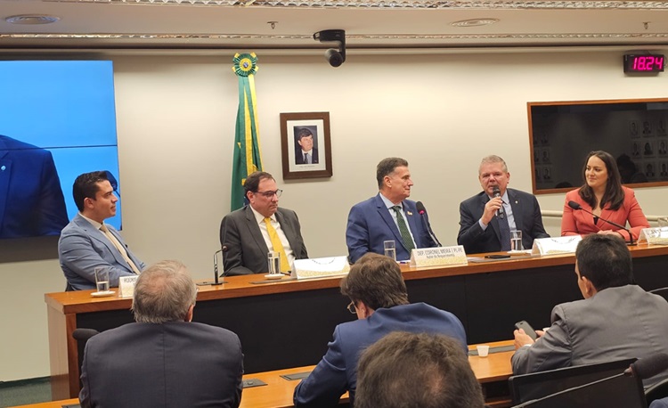 Foto da notícia - Iniciativa do TJPE para combater a violência doméstica é apresentada na Câmara dos Deputados